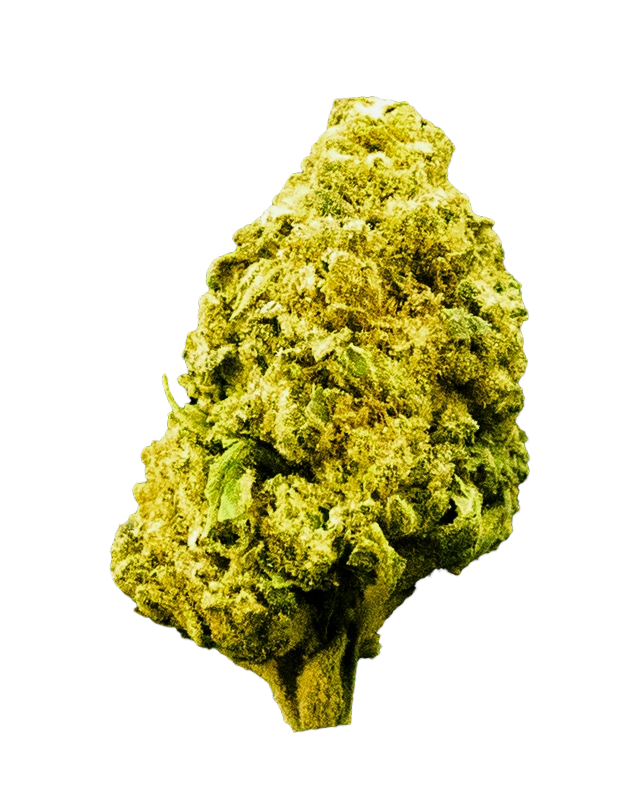 THCA Flower - Banana Punch