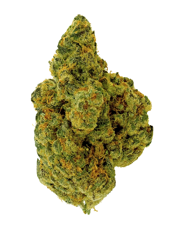 THCA Flower - Cheetah Piss