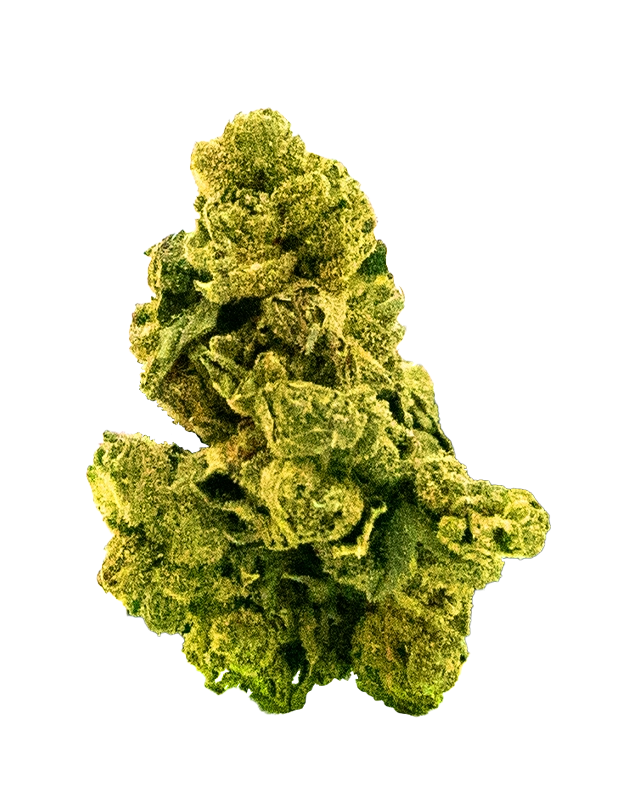 THCA Flower - Durban Poison