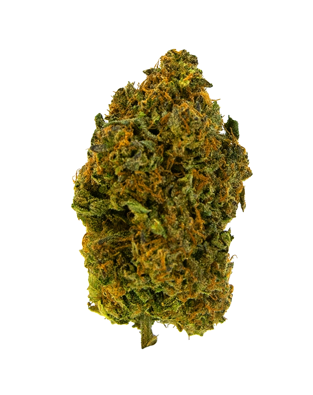 THCA Flower - Gelato 41