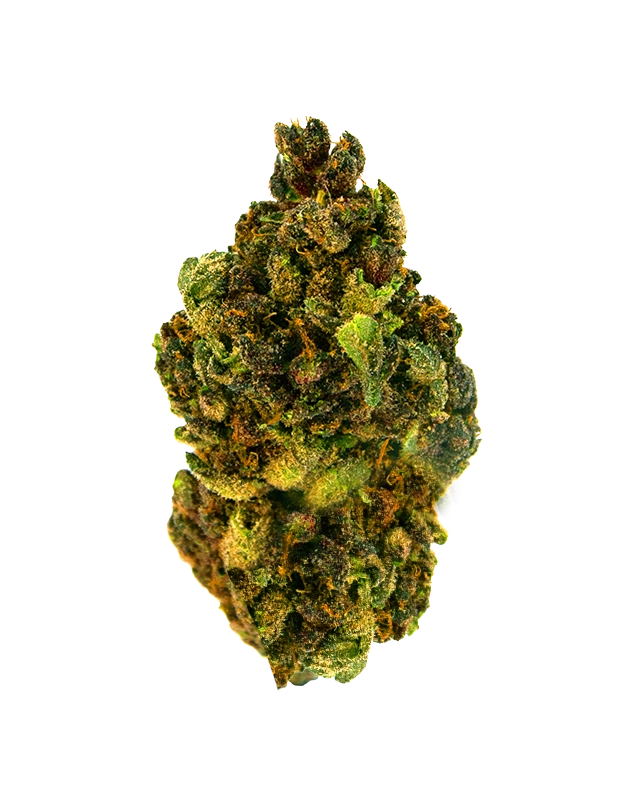 THCA Flower - Gorilla Glue 4