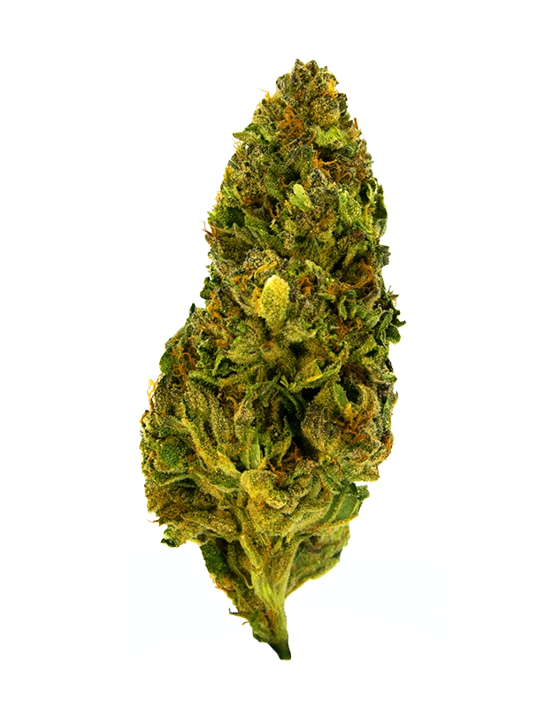 THCA Flower - Illuminati OG